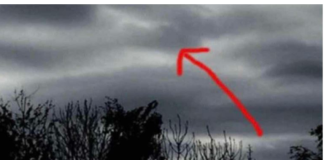 Čovjek Je Fotografisao Tamne 0blake, Kada Je Bolje Pogledao Sliku Trnci Su PREKRILI Njegovo Tijelo