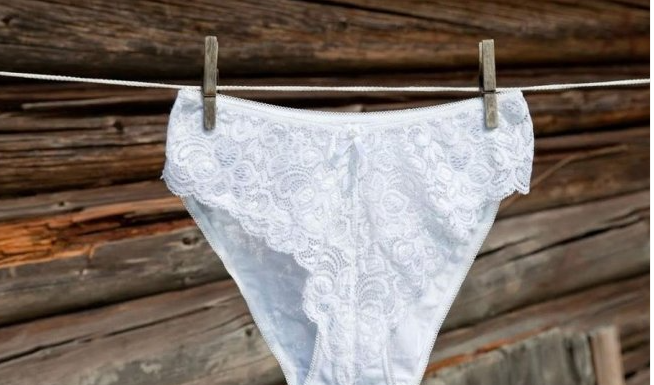 ZNATE LI ČEMU SLUŽI MAŠNICA NA PREDNJEM DELU ŽENSKIH GAĆICA? Nismo imali pojma! OVO JE PRAVI RAZLOG: I jako je korisno