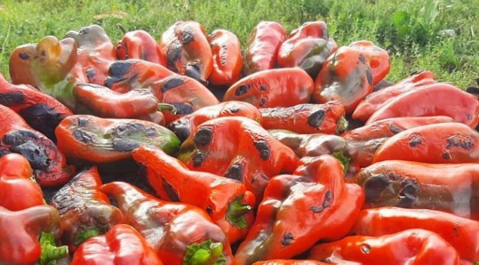 JEFTINIJE JE KUPITI GOTOVU TEGLU U MARKETU, ALI JELENA NE ODUSTAJE: Otkrila je od čega zavisi najbolji ukus AJVARA