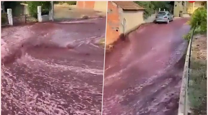 CRVENA REKA TEKLA ULICAMA: Pogledajte šta se krije iza poplave koju svet do sada nije video