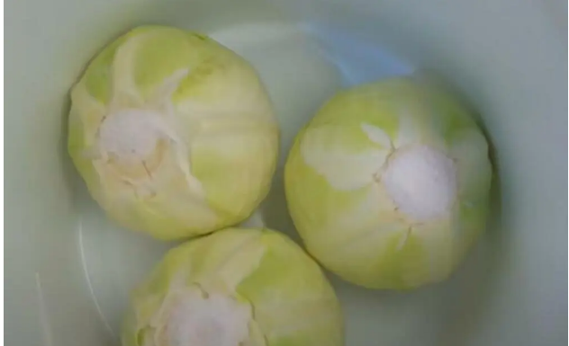 OVO OTKRIVA DA JE KISELI KUPUS PUN HEMIJE: Stručnjaci upozorili ako to vidite na KORENU ILI LISTOVIMA NE KUPUJTE GA