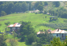 BEOGRAĐANKA SE UDALA, PA POBEGLA SA SELA: “Kad sam OVO uradila, SVEKAR umalo nije dobio NERVNI SLOM”