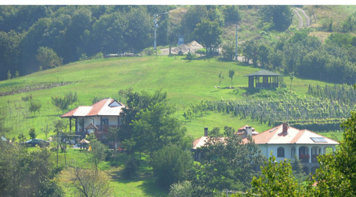 BEOGRAĐANKA SE UDALA, PA POBEGLA SA SELA: “Kad sam OVO uradila, SVEKAR umalo nije dobio NERVNI SLOM”