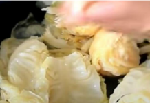 MAJSTORI UBACUJU OVO U KISELI KUPUS DA BI IM ISPAO ŽUT KAO DUKAT: Malo ko može da poveruje da OVO RADI POSAO, AU