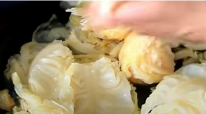 MAJSTORI UBACUJU OVO U KISELI KUPUS DA BI IM ISPAO ŽUT KAO DUKAT: Malo ko može da poveruje da OVO RADI POSAO, AU