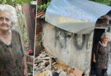 BAKA MILENA (87) NIKOGA NA SVETU NEMA I JEDVA PREŽIVLJAVA: Društvo joj psi lutalice, po penziju ide peške u Šilovo gde ima srpska pošta