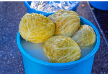 KAKO SPASITI ZIMNICU KOJA JE POČELA DA SE KVARI: Spas za KISELI KUPUS, ali ne smete da ga držite u OVOJ prostoriji