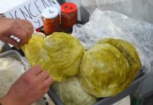 NE MOŽE DA UKISELI, KOLIKO SE TRAŽI: Obrenovčanka od kiselog kupusa napravila biznis, ukiselila TONE – NE ZNA SE ŠTA BOLJE IDE, GLAVICE IL’ LISKE
