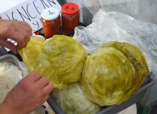 NE MOŽE DA UKISELI, KOLIKO SE TRAŽI: Obrenovčanka od kiselog kupusa napravila biznis, ukiselila TONE – NE ZNA SE ŠTA BOLJE IDE, GLAVICE IL’ LISKE