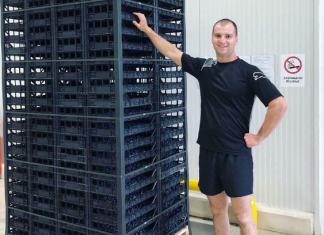 Vratio se iz Amerike u rodni Svilajnac i pokrenuo posao od kojeg odlično zarađuje: David ubere dnevno i do 800 kilogarama ovog voća