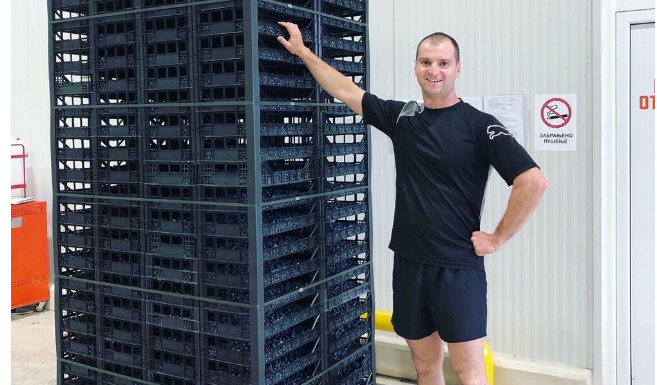 Vratio se iz Amerike u rodni Svilajnac i pokrenuo posao od kojeg odlično zarađuje: David ubere dnevno i do 800 kilogarama ovog voća