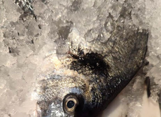 Evo koju ribu Srbi najviše kupuju za SLAVE I POST, nisu som i šaran, a evo kako da znate da je riba SVEŽA