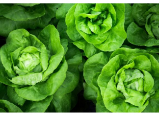 Radnici marketa šokirani onim što su pronašli na listu ZELENE SALATE: “ŠTA JE OVO ZABOGA?!”