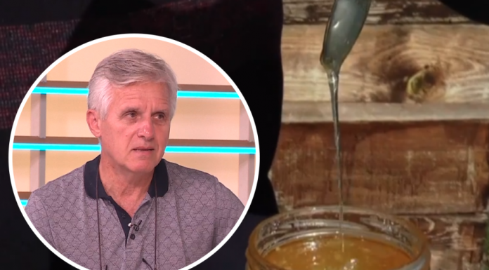 Pčelar iz Srbije objasnio 4 stvari koje odaju da su vam umjesto meda uvalili teglu šećera, dobro pogledajte šta je u pitanju