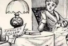 Samo oni sa visokim IQ mogu da pronađu dve mačke na ovoj slici: Mnogi se hvale da su pametni, evo pravog testa za njih