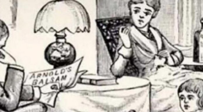 Samo oni sa visokim IQ mogu da pronađu dve mačke na ovoj slici: Mnogi se hvale da su pametni, evo pravog testa za njih