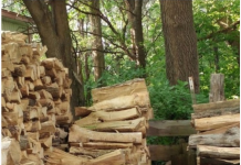 Možete li pronaći MAČKU NA OVOJ FOTOGRAFIJI? – Skoro nikome ne polazi za rukom, probajte i vi