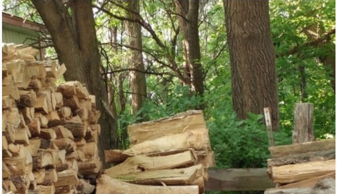 Možete li pronaći MAČKU NA OVOJ FOTOGRAFIJI? – Skoro nikome ne polazi za rukom, probajte i vi