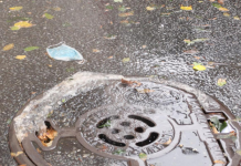 20. OKTOBRA 25 MLADIĆA SIŠLO JE U ŠAHTOVE BEOGRADA: Zbog onog što su tada doživeli, svi umrli u duševnoj bolnici