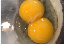 Ako primjetite ovo kad razbijete jaje, odmah ga bacite: To je siguran znak da je “zatrovano” opasnom bakterijom