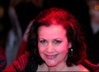 Nikada ne biste pogodili – OVA POZNATA DAMA JE ŽIVELA NA ADRESI TOPOLSKA 18: Evo šta se KRIJE iza legendarnih stihova koje je otpevala Snežana Savić u seriji SREĆNI LJUDI