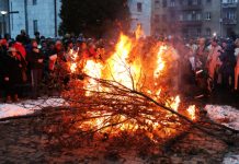 SUTRA JE BADNJI DAN: Svi koji pojedu ovu biljku, imaće PREGRŠT NOVCA, a ako 1 običaj zanemarite pratiće vas MALER