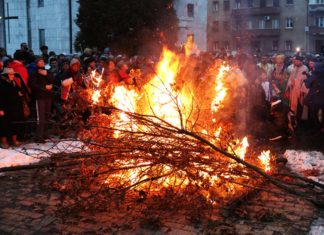 SUTRA JE BADNJI DAN: Svi koji pojedu ovu biljku, imaće PREGRŠT NOVCA, a ako 1 običaj zanemarite pratiće vas MALER