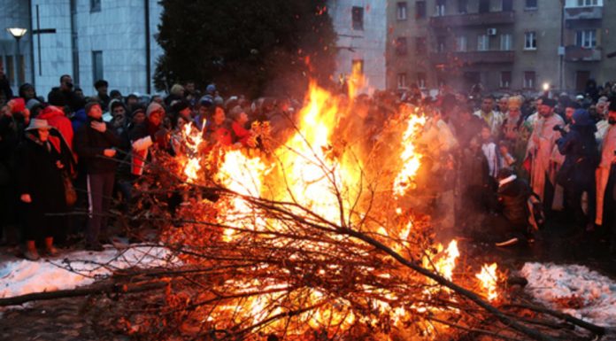 SUTRA JE BADNJI DAN: Svi koji pojedu ovu biljku, imaće PREGRŠT NOVCA, a ako 1 običaj zanemarite pratiće vas MALER