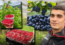 SA SAMO 19 GODINA RAZVIO OZBILJAN POSAO: Mnogi ga nisu shvatali ozbiljno, a on se posvetio radu i sada cela porodica živi od toga!