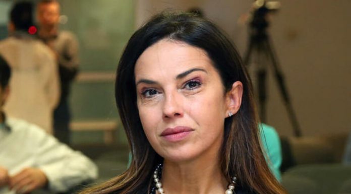 Nataša Ninković konačno pokazala novu LUKSUZNU nekretninu u centru grada: Ovako izgleda dnevni boravak milionera (FOTO)