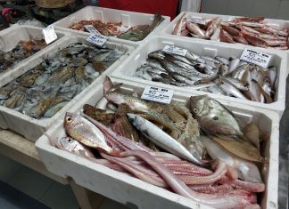 Ovo je najzdravija riba: Bolja od LOSOSA, A MNOGO JEFTINIJA – Evo koliko često je treba jesti