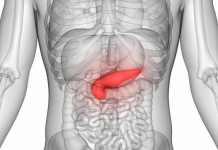 Upala pankreasa može biti opasna ako se ne liječi na vrijeme: OVO SU PRVI SIMPTOMI DA ĆE VAM GUŠTERAČA STRADATI