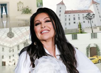 “TO ŠTO POSEDUJEM DVORAC NIJE DOKAZ SREĆE” Dragana Mirković upisana u zemljišnim knjigama kao vlasnica velelepnog zdanja