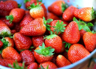 Nikada nisam brao toliko JAGODA: Komšinica mi je otkrila tajnu bogate BERBE!