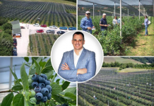 VOJA SE VRATIO IZ SAD I PORED BEOGRADA NAPRAVIO OZBILJAN BIZNIS! Vredan rad se isplatio – sad PLANIRA nešto neviđeno!