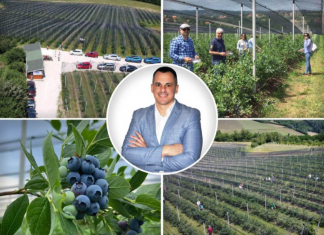 VOJA SE VRATIO IZ SAD I PORED BEOGRADA NAPRAVIO OZBILJAN BIZNIS! Vredan rad se isplatio – sad PLANIRA nešto neviđeno!