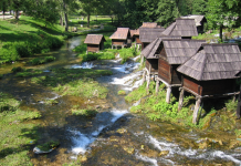 TRADICIJA DUGA 132 GODINE TIJANU IZ BEOGRADA VRATILA U SELO! Nije se pokajala – prodaje proizvod uz koji smo svi odrasli