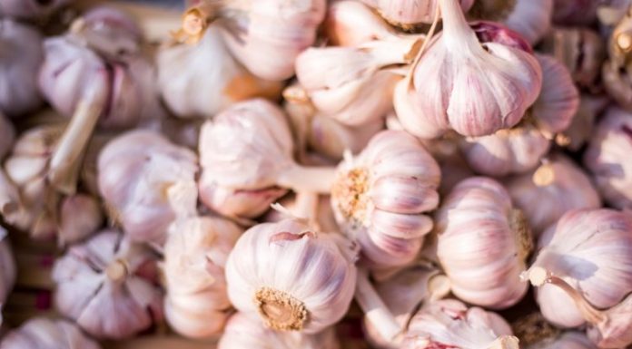 GLAVICE BELOG LUKA ĆE BITI ZDRAVE I KRUPNE: Nikada ga nemojte saditi BEZ OVOGA!