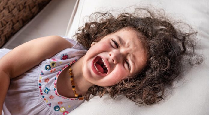 Besno i razmaženo dete možete dovesti u red samo na OVAJ NAČIN: DR RAJOVIĆ, EKSPERT ZA INTELIGENCIJU NAJMLAĐIH, OTKRIVA ŠTA TREBATE RADITI