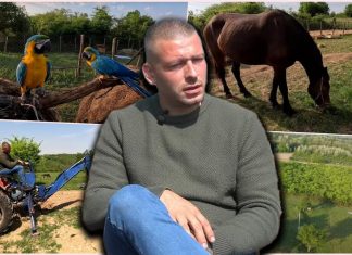 Krali sve, od alata do KROVA KUĆE a onda je preuzeo stvar u SVOJE RUKE: BEOGRAĐANIN OTIŠAO NA SELO, KOMŠIJE MU TAMO PRIREDILE PAKAO