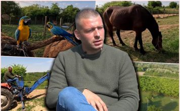 Krali sve, od alata do KROVA KUĆE a onda je preuzeo stvar u SVOJE RUKE: BEOGRAĐANIN OTIŠAO NA SELO, KOMŠIJE MU TAMO PRIREDILE PAKAO