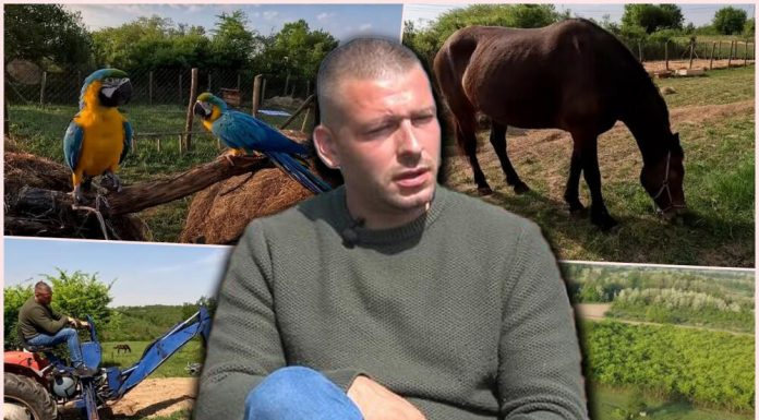 Krali sve, od alata do KROVA KUĆE a onda je preuzeo stvar u SVOJE RUKE: BEOGRAĐANIN OTIŠAO NA SELO, KOMŠIJE MU TAMO PRIREDILE PAKAO