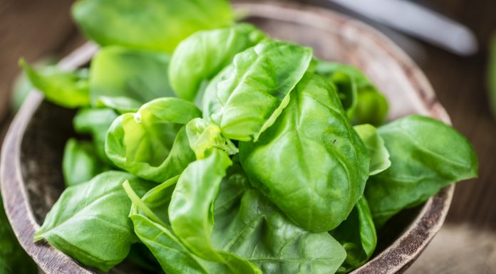 Ovo je samo JEDAN od razloga zašto treba da posejete OVU BILJKU u proleće: KUĆA KOJA JE IMA NE MOŽE BITI SIROMAŠNA