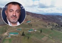 Traži nekoga da mu čuva dedovinu, nudi 700€ i boravak u kući uz 1 uslov: BIZNISMEN IZ AMERIKE IMA JEDAN ZAHTEV!