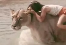 UDOMILI SU LAVA, spavao je s decom: Onda je usledio PAKAO ŽIVOTA, nisu mogli ni da naslute JEZIVU TRAGEDIJU