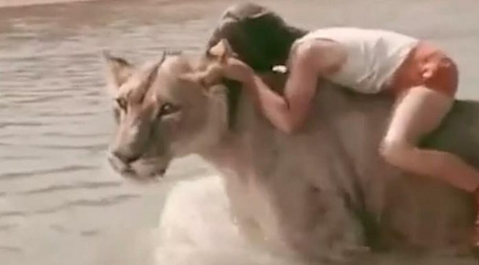 UDOMILI SU LAVA, spavao je s decom: Onda je usledio PAKAO ŽIVOTA, nisu mogli ni da naslute JEZIVU TRAGEDIJU