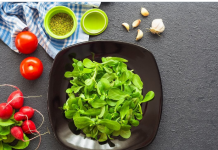 SVUDA RASTE, SVI JE ČUPAMO I BACAMO: Ova biljka nije korov, može da vas izliječi od glave do pete!