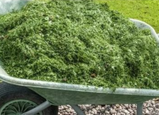 NIKAD NEMOJTE BACATI POKOŠENU TRAVU, samo uradite ovo! Bolje od 100 gnojiva!