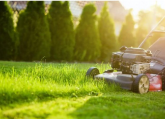 NIKAD NEMOJTE BACATI POKOŠENU TRAVU, samo uradite ovo! Bolje od 100 gnojiva!