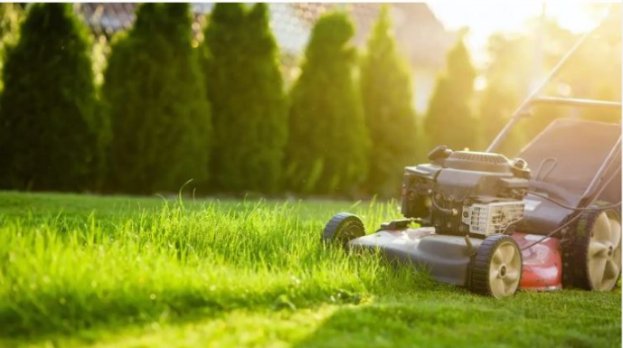 NIKAD NEMOJTE BACATI POKOŠENU TRAVU, samo uradite ovo! Bolje od 100 gnojiva!